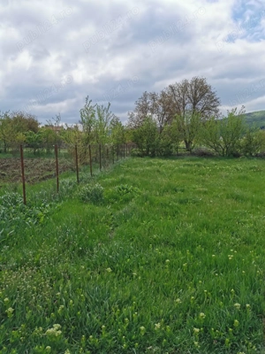 Teren Barnova intravilan - imagine 6