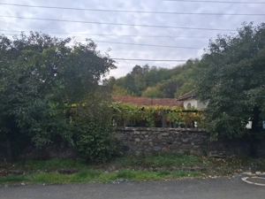 Casă tradițională cu teren generos – Borosteni, Peștișani, jud. Gorj - imagine 2