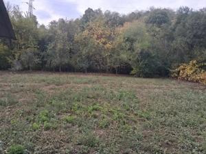 Casă tradițională cu teren generos – Borosteni, Peștișani, jud. Gorj - imagine 4