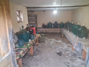 Casă tradițională cu teren generos – Borosteni, Peștișani, jud. Gorj - imagine 11