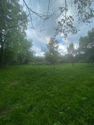 Vand teren Breaza 3325 mp