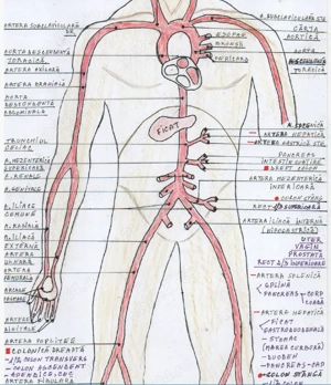 Ofer Meditații Biologie pentru BAC și ADMITERE FACULTATE - imagine 5
