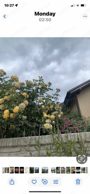 Vand casa mica cu gradina racoroasa(schimb)