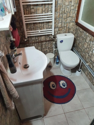 Casa P+M, teren si anexe, Vladesti - imagine 3