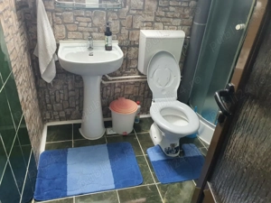 Casa P+M, teren si anexe, Vladesti - imagine 5