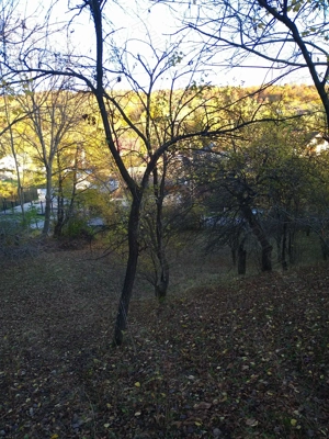 Teren intravilan 3.788 mp   utilitati, drum asfaltat, vedere superba Costești, Fieni, Dambovita - imagine 8