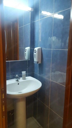 Spatiu birouri- Ion Mihalache- Ciuperca-Expozitiei - imagine 12