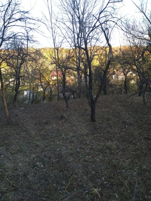 Teren intravilan 3.788 mp   utilitati, drum asfaltat, vedere superba Costești, Fieni, Dambovita - imagine 9