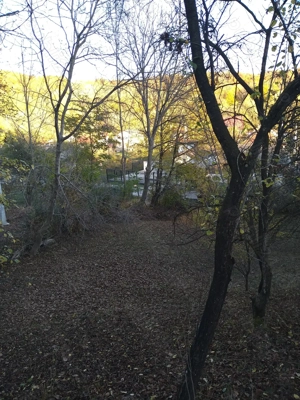 Teren intravilan 3.788 mp   utilitati, drum asfaltat, vedere superba Costești, Fieni, Dambovita - imagine 10