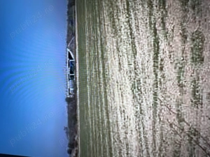 Teren extravilan Corbii Mari-Dambovita - imagine 4