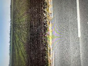 Teren extravilan Corbii Mari-Dambovita - imagine 5