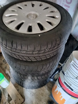 Roti iarna 205/55/16