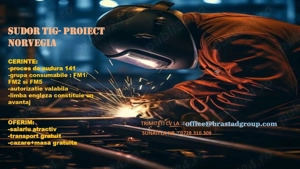 Sudor TIG-full time pentru Norvegia