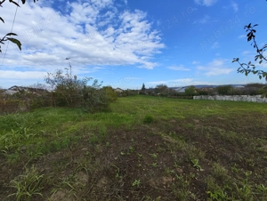 Teren Intravilan Miroslava - imagine 4