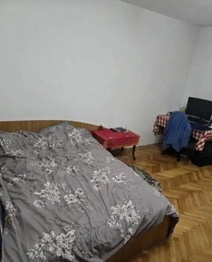 Garsoniera Tatarasi - Flora 