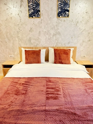 TM Cazare Apartamente Regim Hotelier 1-2-3 Cam Central Totul Nou - imagine 5