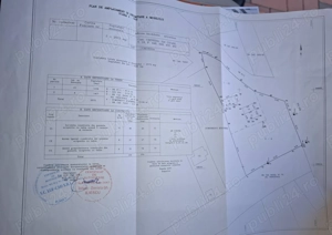 Teren cu deschidere la DN1A - imagine 7 Teren cu deschidere la DN1A - imagine 7