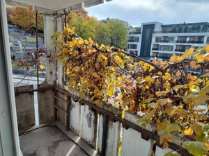 Apart. cu 4 cam. de vânzare, ff aproape de Spitalul Județean, UMF - imagine 4