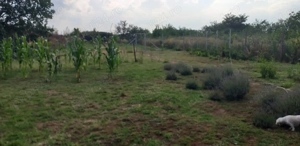 Casa cu teren GHIOROC