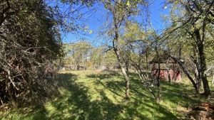 Casa+teren 2713 mp in loc. Babana, jud. Arges. Comision 0% - imagine 5