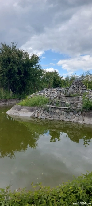 Propietare de vanzare - imagine 4