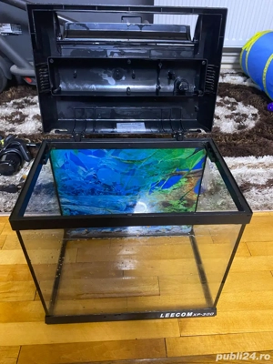 acvariu + accesorii - imagine 3