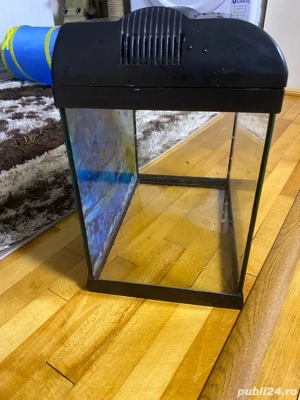 acvariu + accesorii - imagine 4