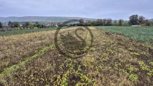 Teren intravilan de vanzare | 3.084mp | Plavia - Urlati | Comision 0% - imagine 2