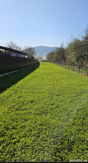 Casa de vanzare !!! - imagine 5