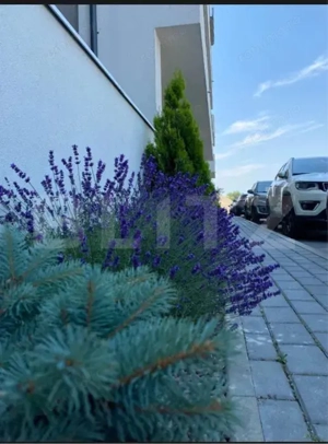 Apartament modern 2 camere , 55mp- Sanpetru - imagine 6