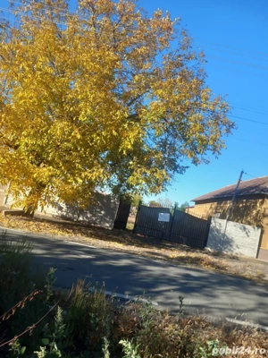 teren intravilan in curtici