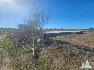 SUPER-PRET Teren 5000mp langa case in Sabareni - imagine 4