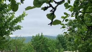 Teren si casa batraneasca Pietrarie, 3450mp