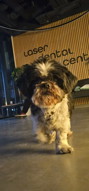 Angajare receptioner a la Clinica Stomatologica Bucuresti