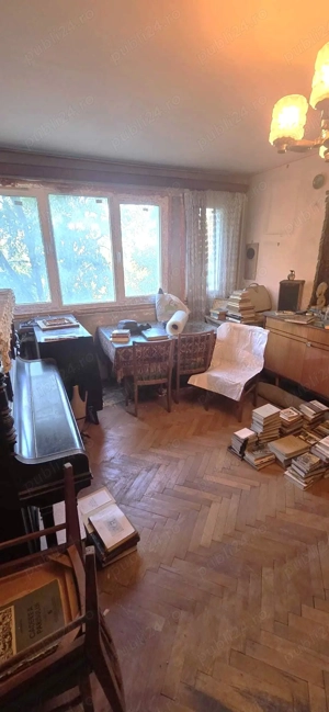 Baba Novac Campia Libertatii- vedere parc IOR