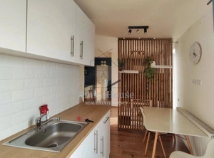 Apartament 2 camere de inchiriat, 47 mp cu terasa 21 mp, str Razoare Vivo - imagine 16