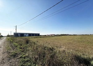 5000 mp. teren intravilan - Les - IMOBIHOR  - imagine 2