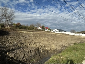 Teren intravilan de vanzare-3174 mp in Targu Neamt - imagine 4