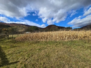 Teren intravilan Pângărăcior  - imagine 4