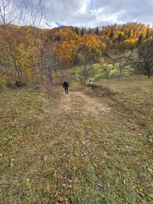 Teren intravilan Pângărăcior  - imagine 6