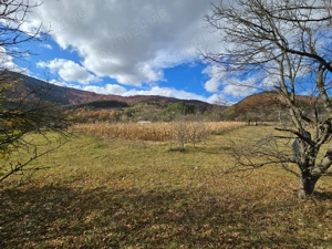 Teren intravilan Pângărăcior  - imagine 7