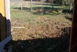 Teren 2158 mp, FS=23m, Mosnita Veche, casa veche, utilitati