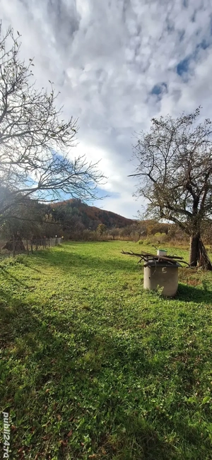 Vand casa!  - imagine 8