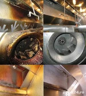 Degresant puternic concentrat.Solutie curatat motor.Solutie curatat inox.TRIUMF 5L CONCENTRAT 1L+5L - imagine 4