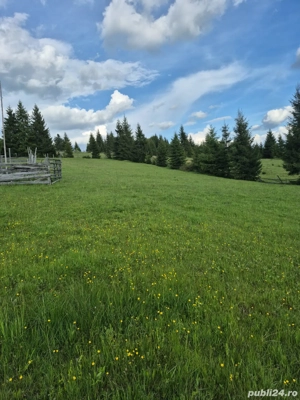 Teren extravilan-Poiana Stampei