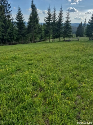 Teren extravilan-Poiana Stampei - imagine 2 Teren extravilan-Poiana Stampei - imagine 2