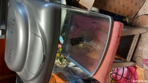 acvariu pești  - imagine 2