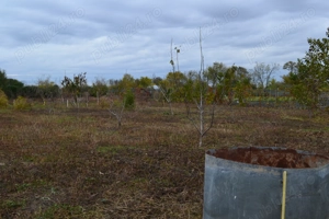 Casă + teren 3.500 mp + anexe gospodărești Scorțaru Vechi - - imagine 4