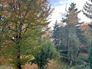 Privat, vand apartament 3 camere, str. Neptun, et. 2 4 - imagine 8