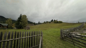 Teren Intravilan de 16.000 mp, Utilitati si Acte in Regula - imagine 4